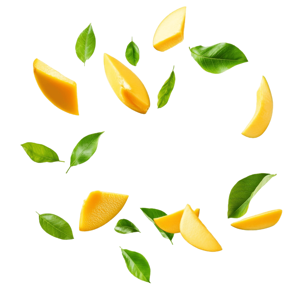 https://www.ervafood.com/public/uploads/products/